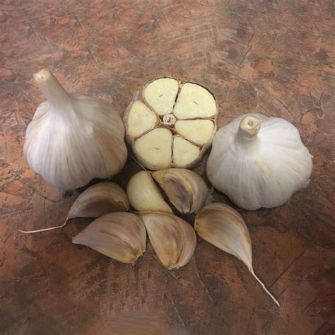 Garlic Price Per Pound